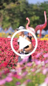 BIB:  <button type="button" onclick="openModal(27588549)" class="btn btn-primary btn-sm float-right" data-toggle="modal" data-target=".modal-high-quality">
                <i class="fa fa-download"></i> Download
                </button>